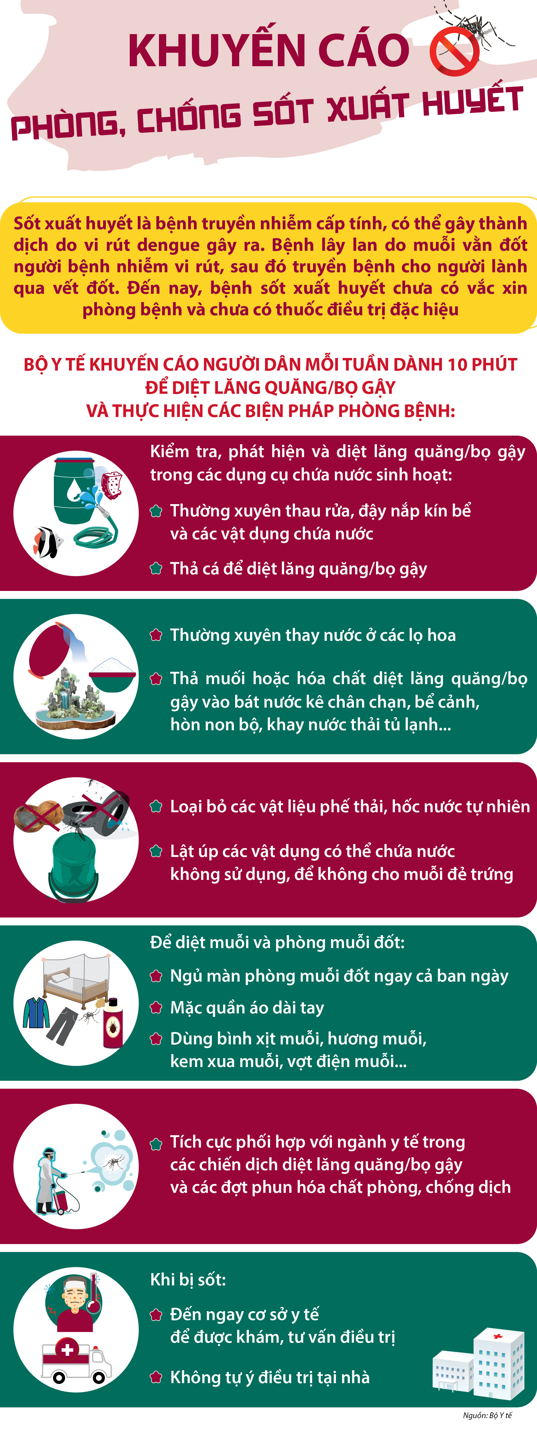 Infographic Bộ Y Tế Khuyến Cáo Phòng Chống Sốt Xuất Huyết 